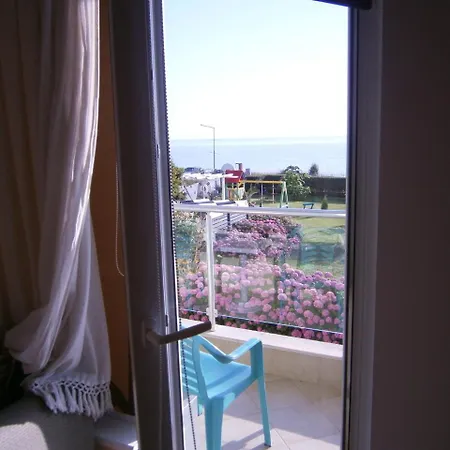 Guest house Flaga 2*